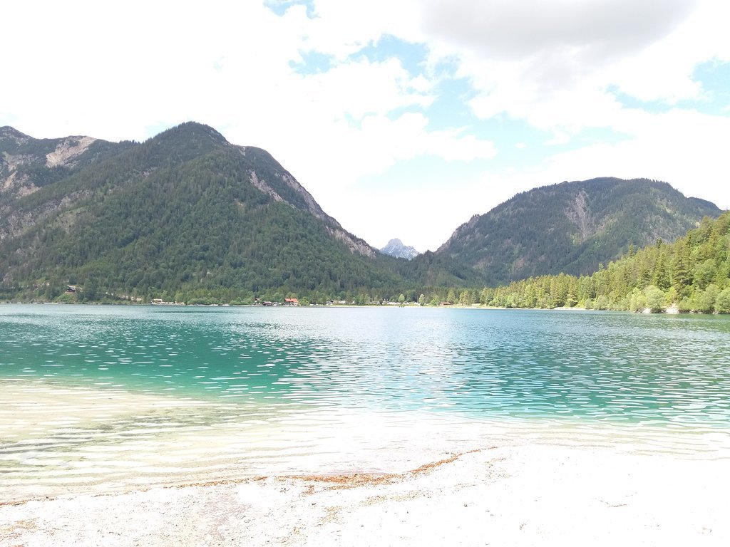 Musteralpe am Plansee